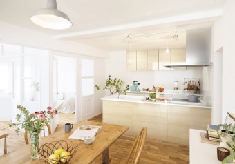 タカラプラン SK007965